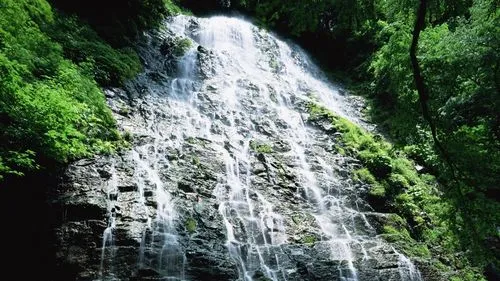 科技节能无人化